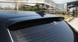 CENTURY GZG50 tight ルーフウイングVS