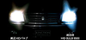 JUNCTION PRODUCE